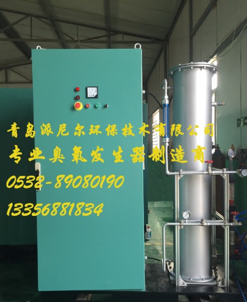 山东中型臭氧发生器
