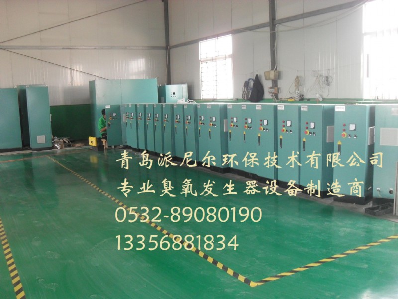 山东臭氧发生器